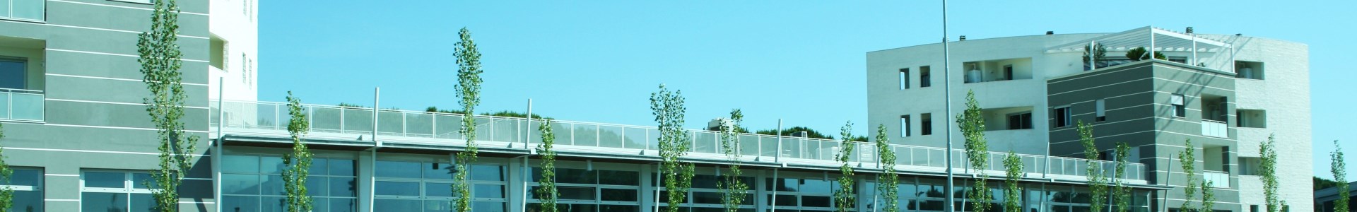 Cooperativa Valmarecchia Costruttori